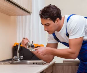 About Plumbers Pros Van Orin, IL